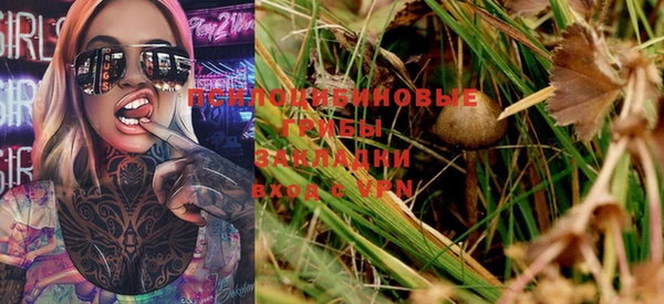дмт Михайлов