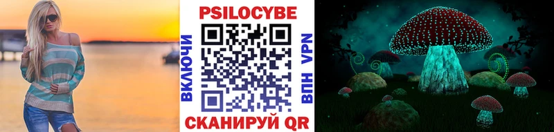 Псилоцибиновые грибы Cubensis  купить наркоту  Кириллов 